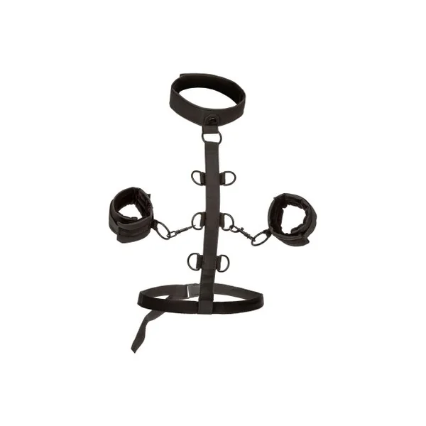 Next Product Image