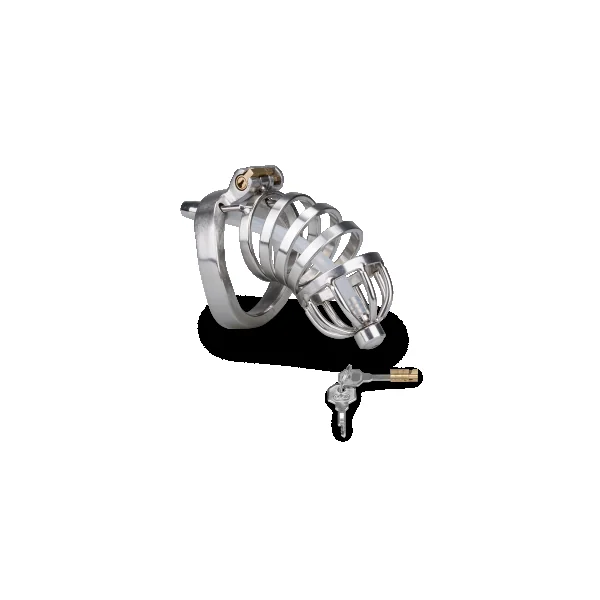 Next Product Image