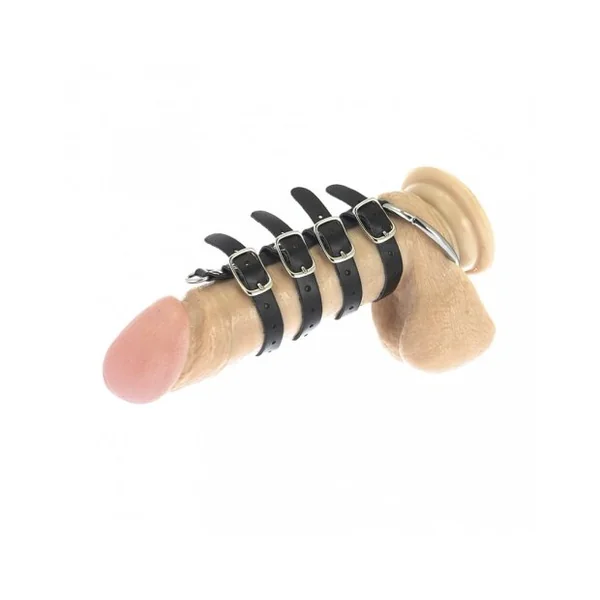 Next Product Image